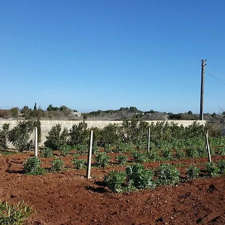 Raffaella Σπίτι διακοπών *